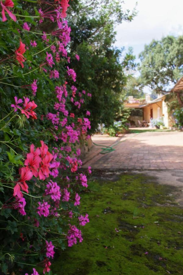 B&B Le Corti Di Aloa 산판탈레오 외부 사진