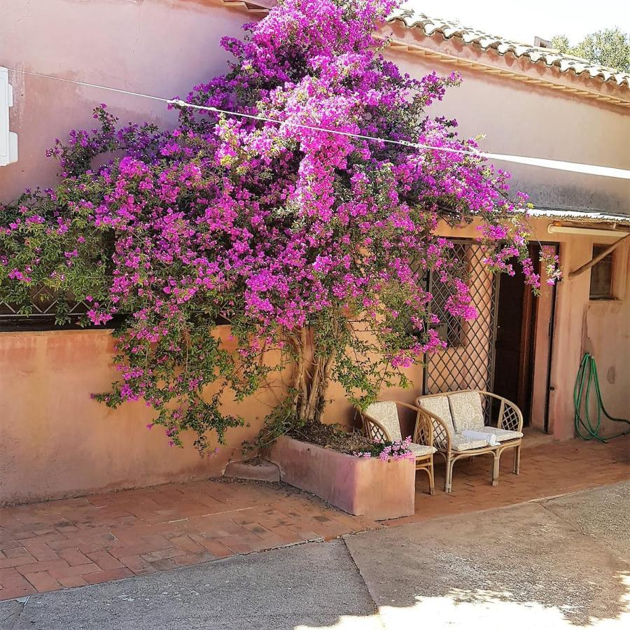 B&B Le Corti Di Aloa 산판탈레오 외부 사진