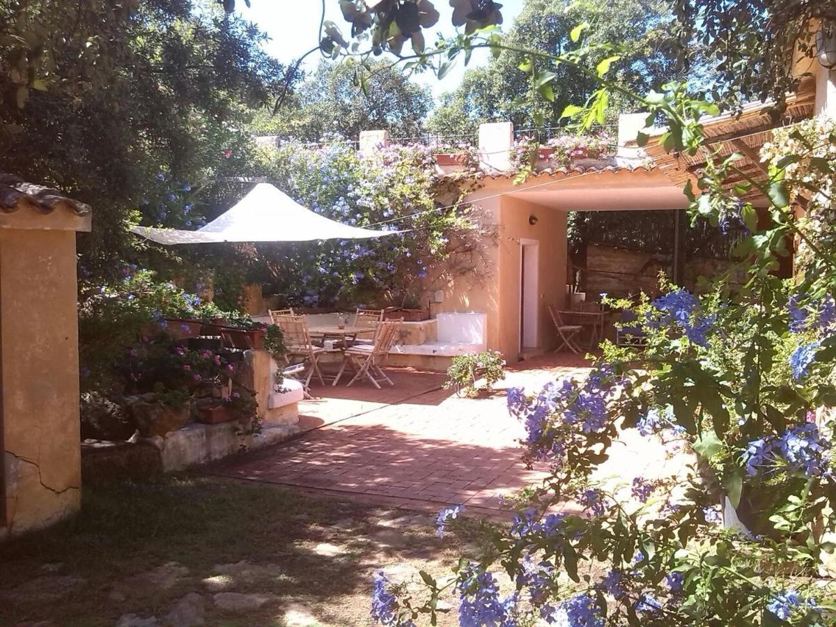 B&B Le Corti Di Aloa 산판탈레오 외부 사진