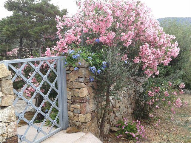 B&B Le Corti Di Aloa 산판탈레오 외부 사진