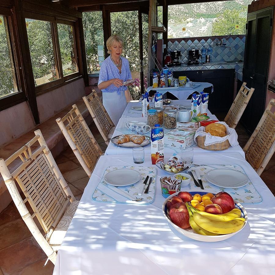 B&B Le Corti Di Aloa 산판탈레오 외부 사진